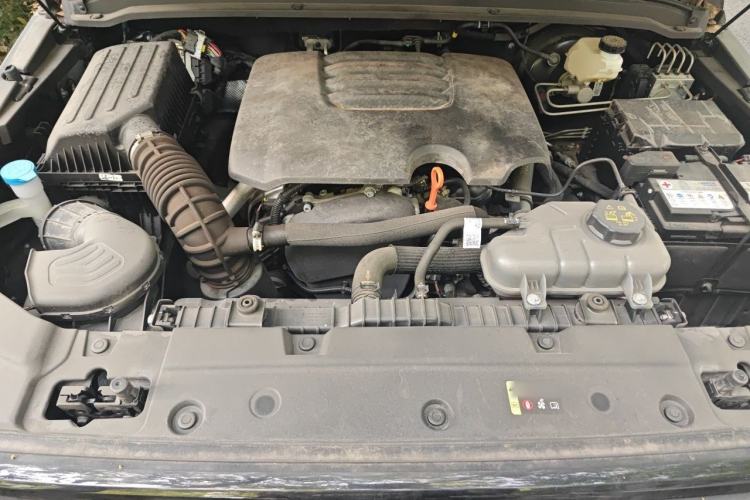 Used Tank 300 2023 Off-Road Edition 2.0T Conqueror Engine Bay