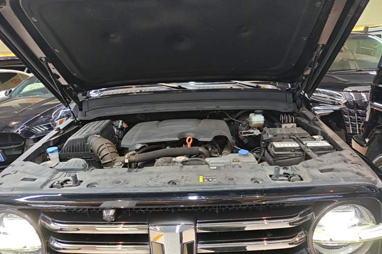 Used Tank 300 2023 City Edition 2.0T—Stylish as Ever Engine Bay