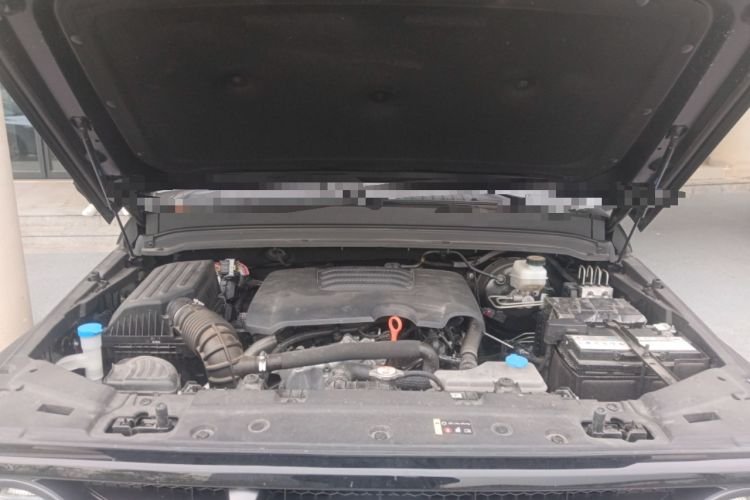 Used Tank 300 2023 Off-Road Edition 2.0T Conqueror Engine Bay