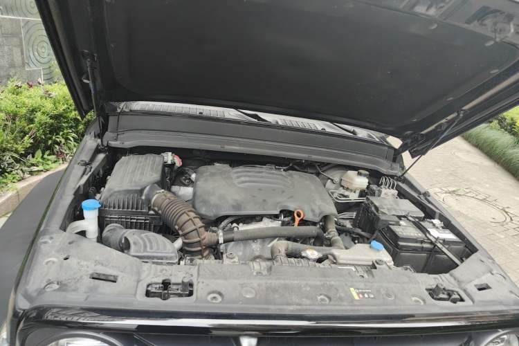 Used Tank 300 2023 Off-Road Edition 2.0T Conqueror Engine Bay