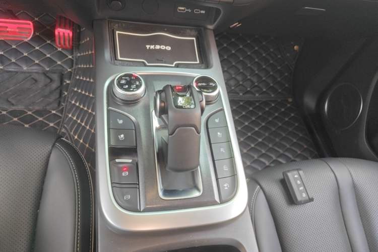 Used Tank 300 2023 City Edition 2.0T—Stylish as Ever Gear Lever