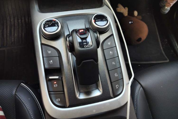 Used Tank 300 2023 City Edition 2.0T—Stylish as Ever Gear Lever