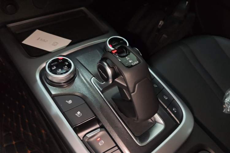Used Tank 300 2023 City Edition 2.0T Essential Model Gear Lever