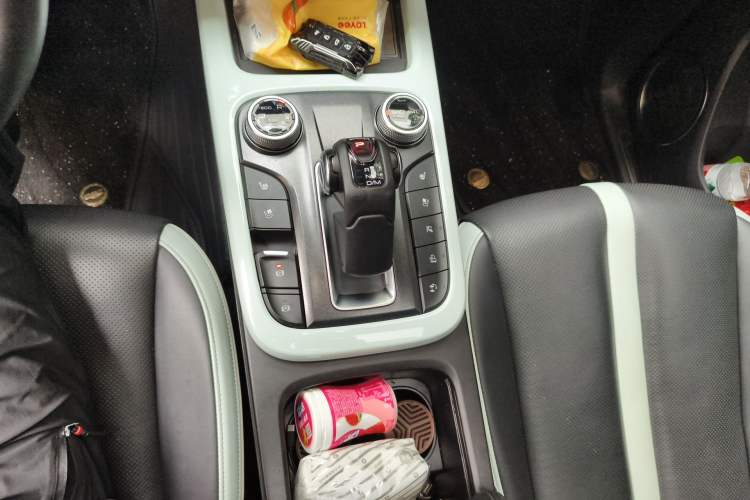 Used Tank 300 2023 City Edition 2.0T—Stylish as Ever Gear Lever