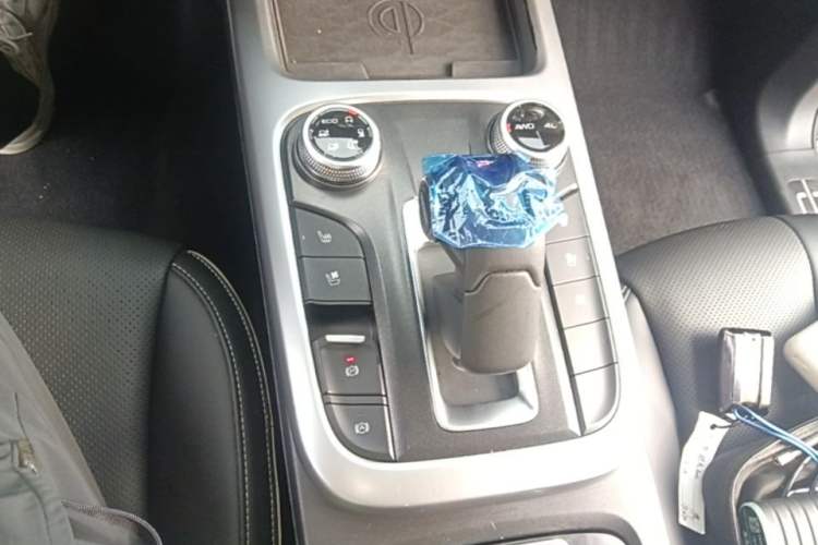 Used Tank 300 2023 City Edition 2.0T—Stylish as Ever Gear Lever