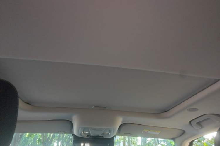 Used Tank 300 2023 City Edition 2.0T—Stylish as Ever Headliner
