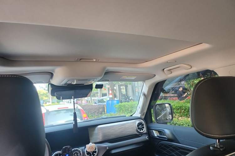 Used Tank 300 2023 City Edition 2.0T—Stylish as Ever Headliner