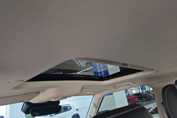 Used Tank 300 2023 City Edition 2.0T—Stylish as Ever Headliner