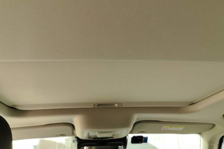 Used Tank 300 2023 2.0T Iron Rider 02 Headliner
