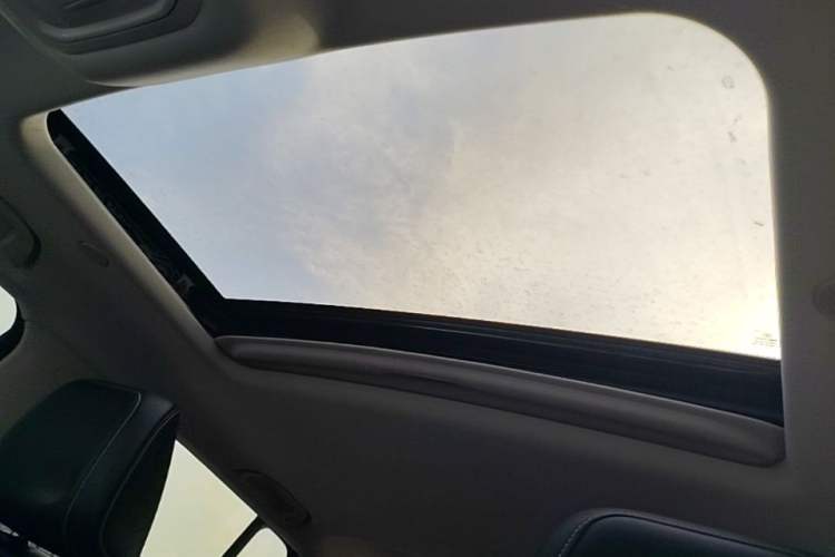 Used Tank 300 2023 City Edition 2.0T—Stylish as Ever Headliner