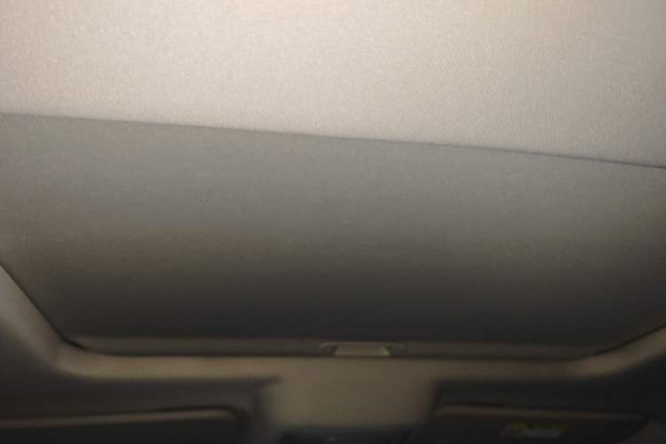 Used Tank 300 2023 2.0T Iron Rider 02 Headliner