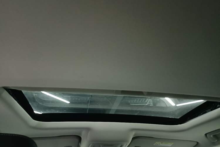 Used Tank 300 2023 2.0T Iron Rider 02 Headliner