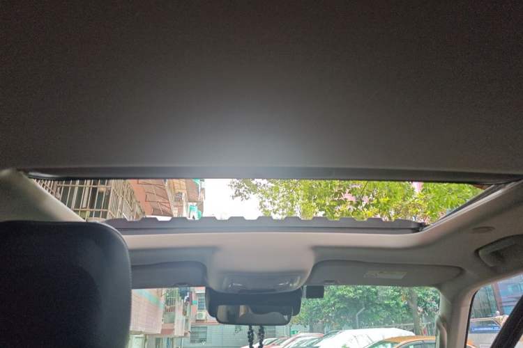 Used Tank 300 2023 City Edition 2.0T—Stylish as Ever Headliner