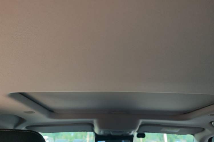 Used Tank 300 2023 City Edition 2.0T—Stylish as Ever Headliner