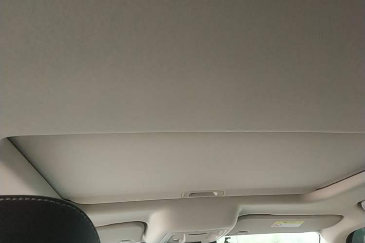 Used Tank 300 2023 City Edition 2.0T—Stylish as Ever Headliner