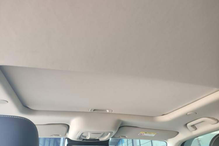 Used Tank 300 2023 City Edition 2.0T—Stylish as Ever Headliner