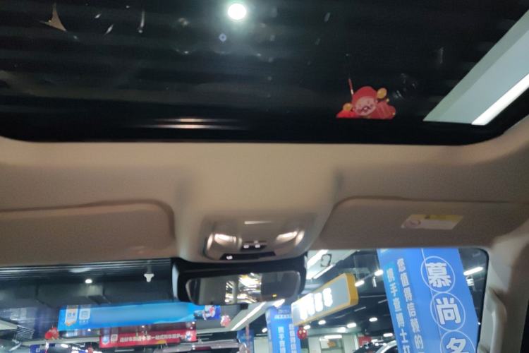 Used Tank 300 2023 2.0T Iron Rider 02 Headliner