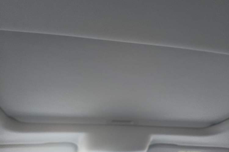 Used Tank 300 2023 2.0T Iron Rider 02 Headliner