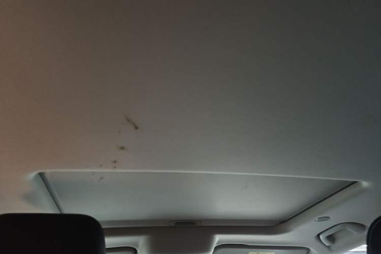 Used Tank 300 2023 City Edition 2.0T—Stylish as Ever Headliner