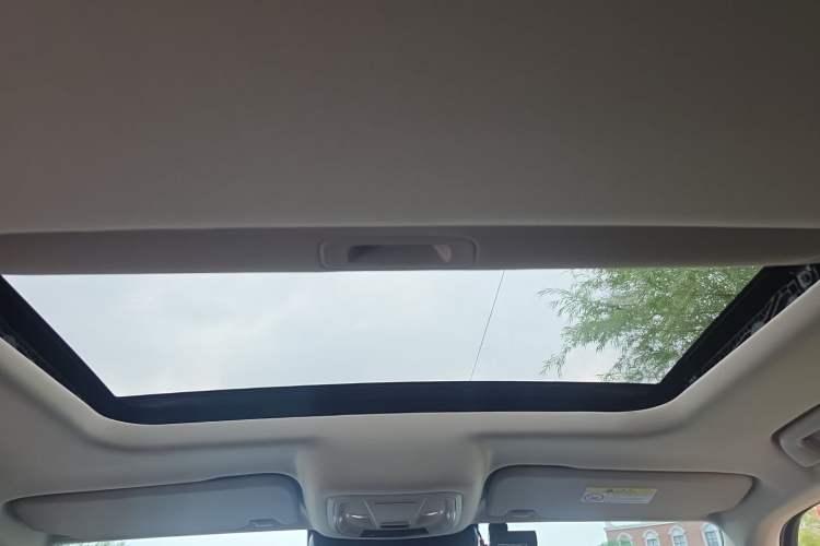 Used Tank 300 2023 City Edition 2.0T My Vision Model Headliner