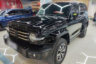 Used Tank 300 2023 City Edition 2.0T—Stylish as Ever