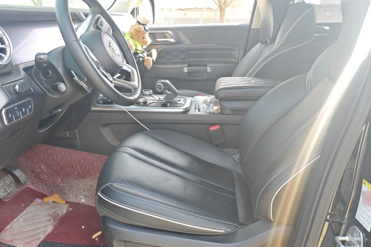 Used Tank 300 2023 Off-Road Edition 2.0T Conqueror Left Front Seat