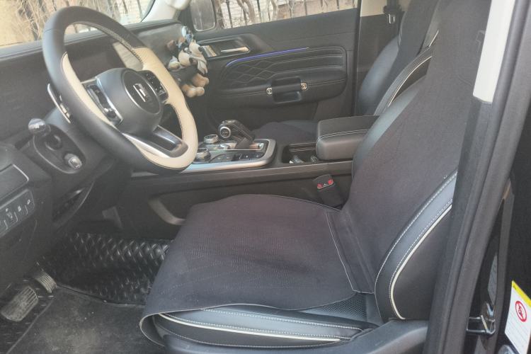Used Tank 300 2023 2.0T Iron Rider 02 Left Front Seat