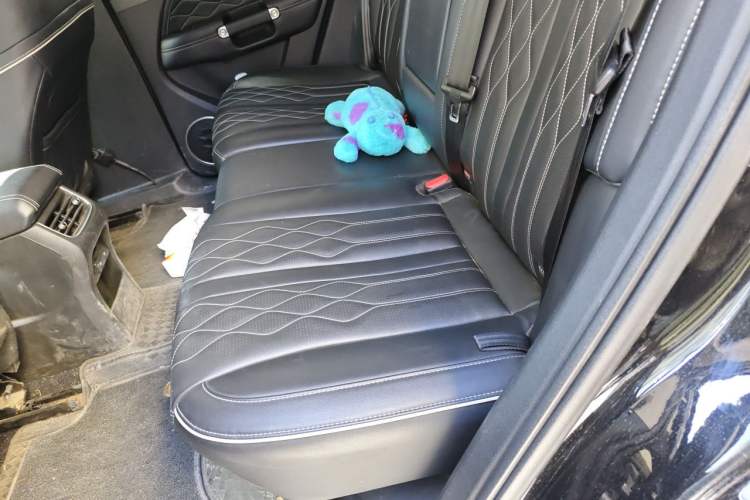 Used Tank 300 2023 Off-Road Edition 2.0T Challenger Left Rear Seat