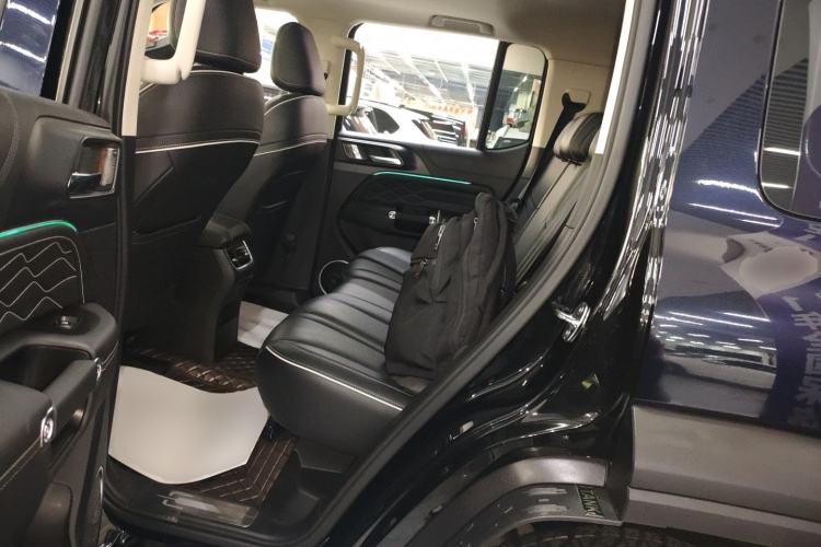 Used Tank 300 2023 Off-Road Edition 2.0T Conqueror Left Rear Seat
