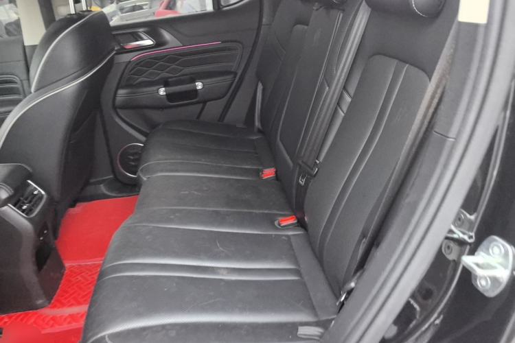 Used Tank 300 2023 Off-Road Edition 2.0T Conqueror Left Rear Seat