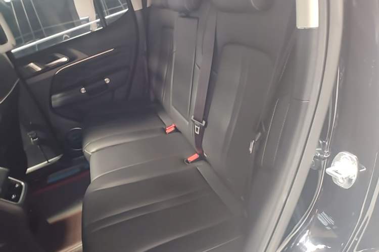 Used Tank 300 2023 Off-Road Edition 2.0T Conqueror Left Rear Seat
