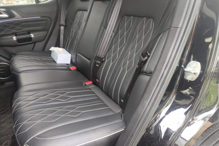 Used Tank 300 2023 City Edition 2.0T My Vision Model Left Rear Seat