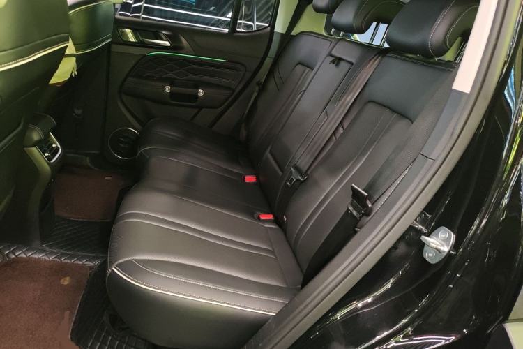Used Tank 300 2023 Off-Road Edition 2.0T Conqueror Left Rear Seat