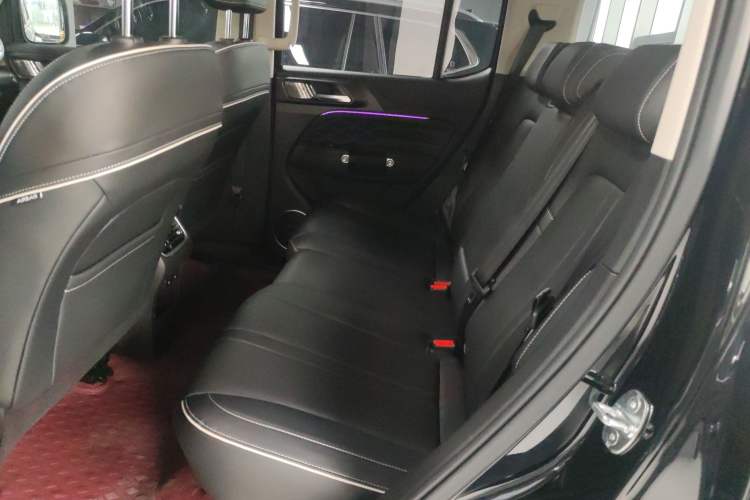 Used Tank 300 2023 2.0T Iron Rider 02 Left Rear Seat