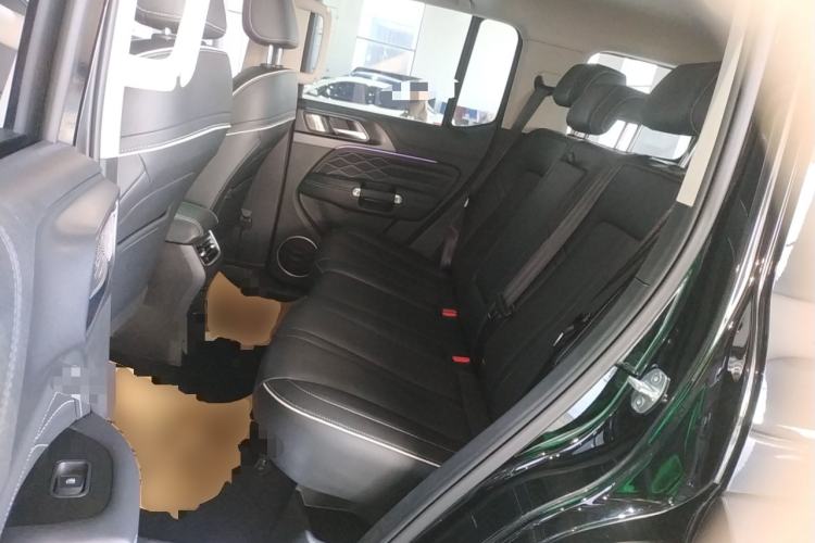 Used Tank 300 2023 Off-Road Edition 2.0T Conqueror Left Rear Seat