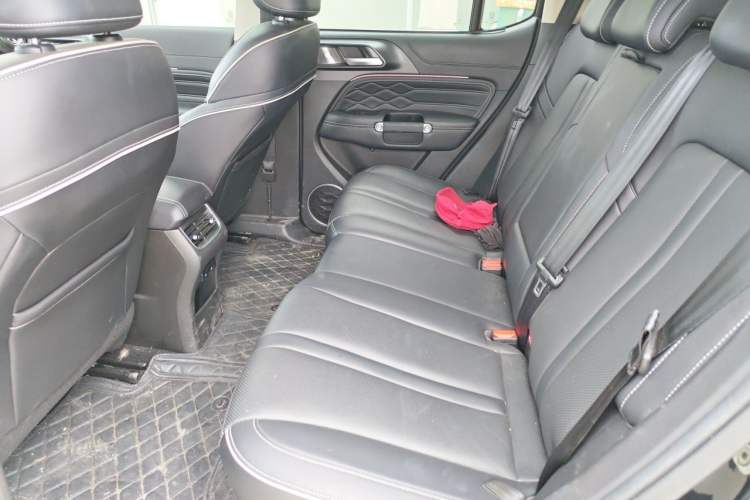 Used Tank 300 2023 Off-Road Edition 2.0T Conqueror Left Rear Seat