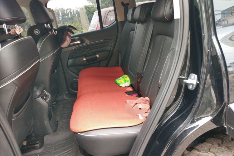 Used Tank 300 2023 Off-Road Edition 2.0T Conqueror Left Rear Seat