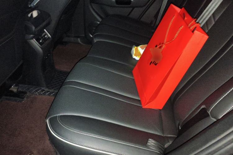 Used Tank 300 2023 2.0T Iron Rider 02 Left Rear Seat