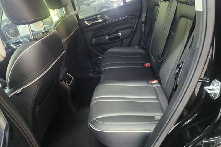 Used Tank 300 2023 Off-Road Edition 2.0T Conqueror Left Rear Seat