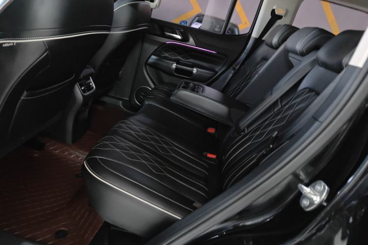 Used Tank 300 2023 Off-Road Edition 2.0T Challenger Left Rear Seat