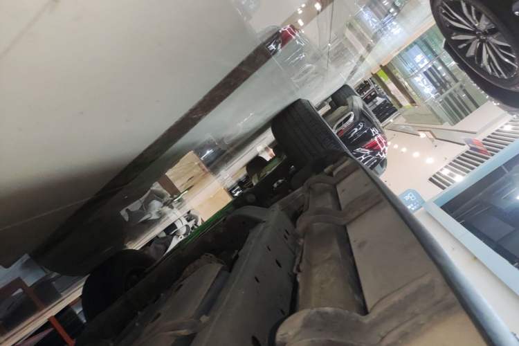Used Tank 300 2023 Off-Road Edition 2.0T Conqueror Left Side Sill