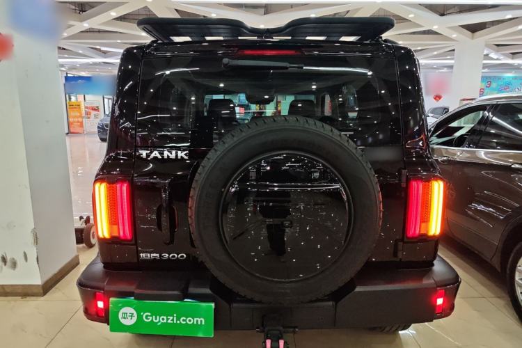 Used Tank 300 2023 City Edition 2.0T My Vision Model Rear