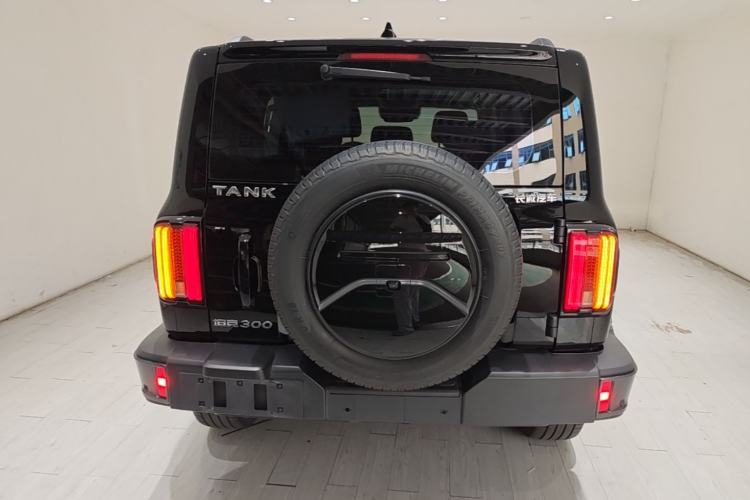Used Tank 300 2023 City Edition 2.0T Essential Model Rear