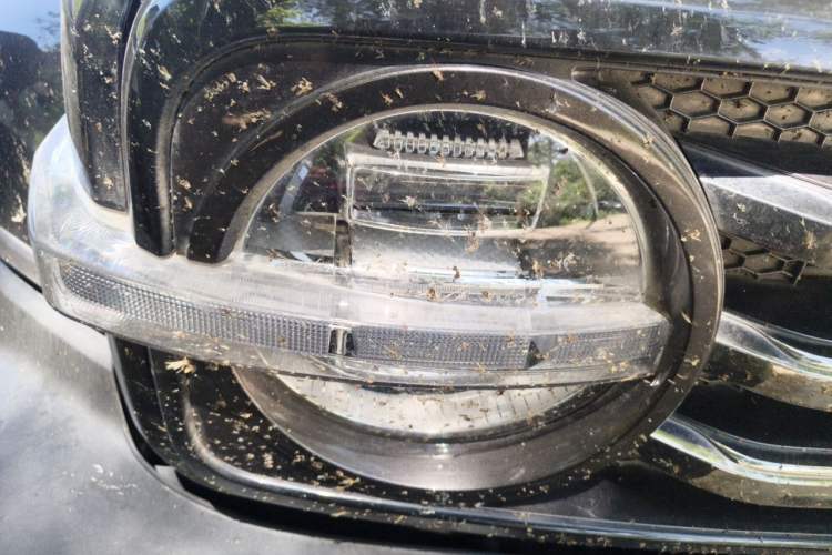 Used Tank 300 2023 City Edition 2.0T—Stylish as Ever Right Front Headlight