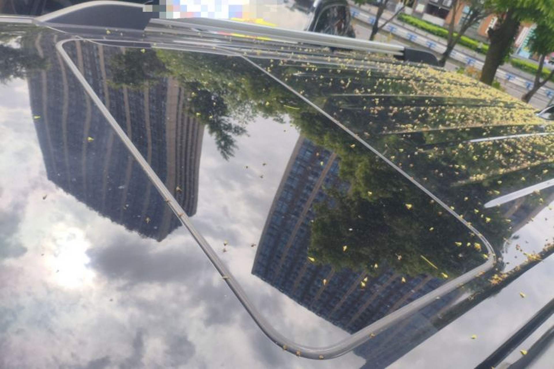 Used Tank 300 2023 City Edition 2.0T—Stylish as Ever Roof