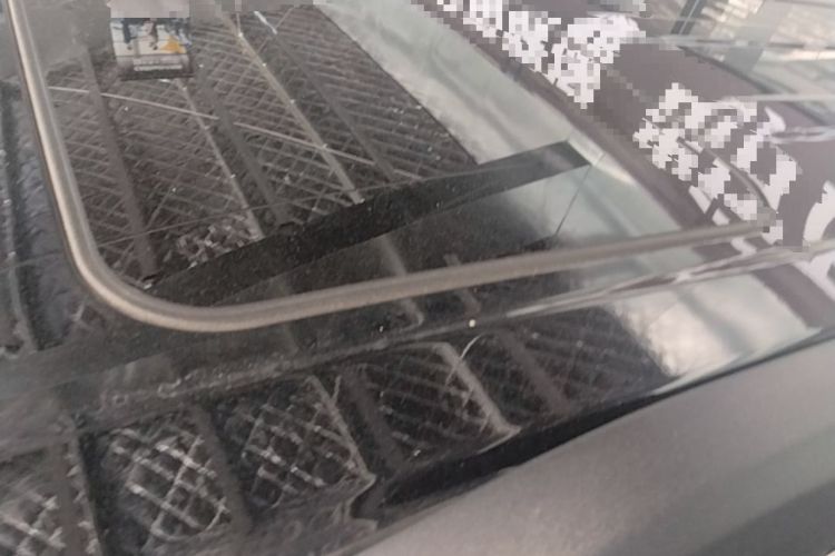 Used Tank 300 2023 City Edition 2.0T—Stylish as Ever Roof