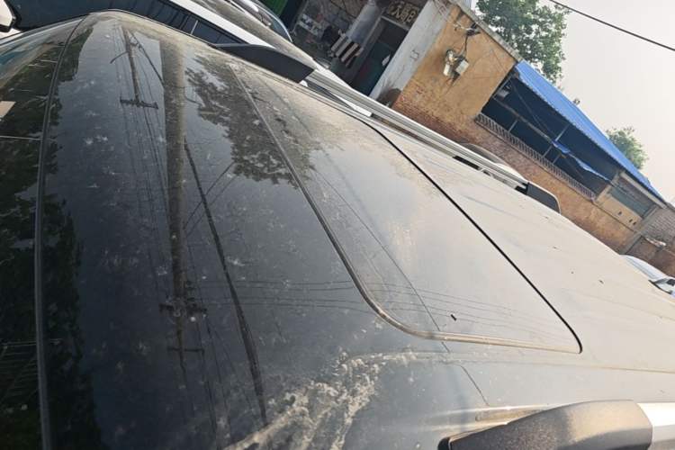 Used Tank 300 2023 City Edition 2.0T—Stylish as Ever Roof