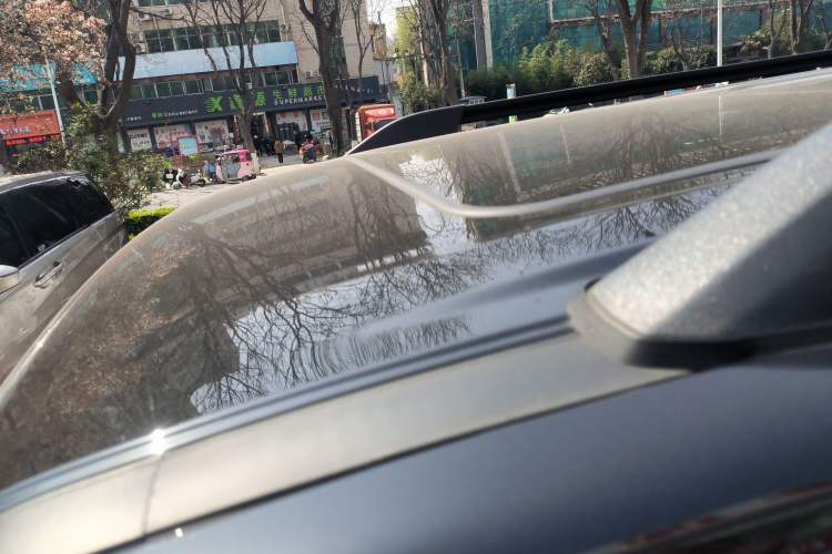 Used Tank 300 2023 Off-Road Edition 2.0T Challenger Roof