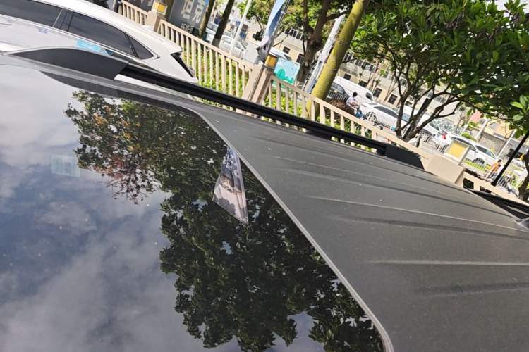Used Tank 300 2023 City Edition 2.0T—Stylish as Ever Roof