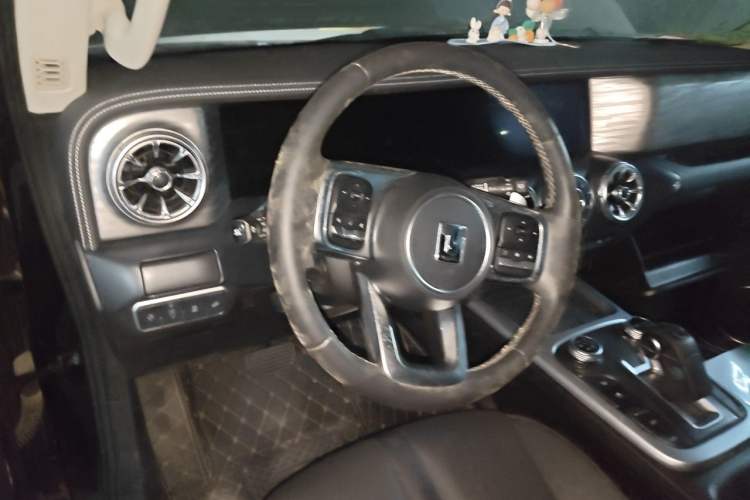 Used Tank 300 2023 City Edition 2.0T—Stylish as Ever Steering Wheel